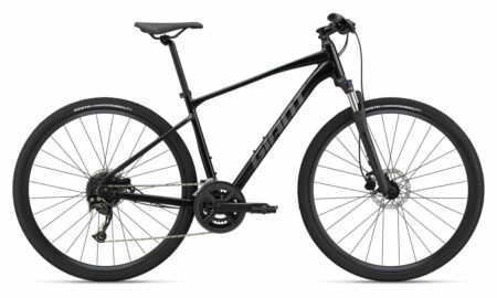 GIANT ROAM 2