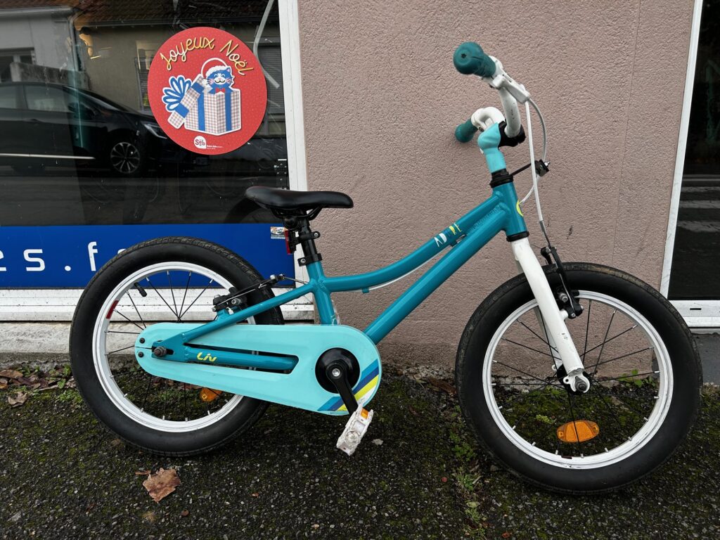 Liv Adore – 16 pouces – Bleu – 2020